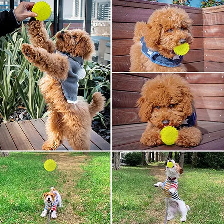 LaRoo Squaker Dog Ball Sound Toy Durable Fetch Interactice Chew Toys Vocal Walnut 9CM\3.5inch Laroo